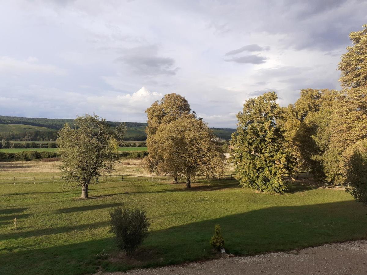 Domaine-De-La-Borde A Epernay Bed & Breakfast Mardeuil Eksteriør bilde