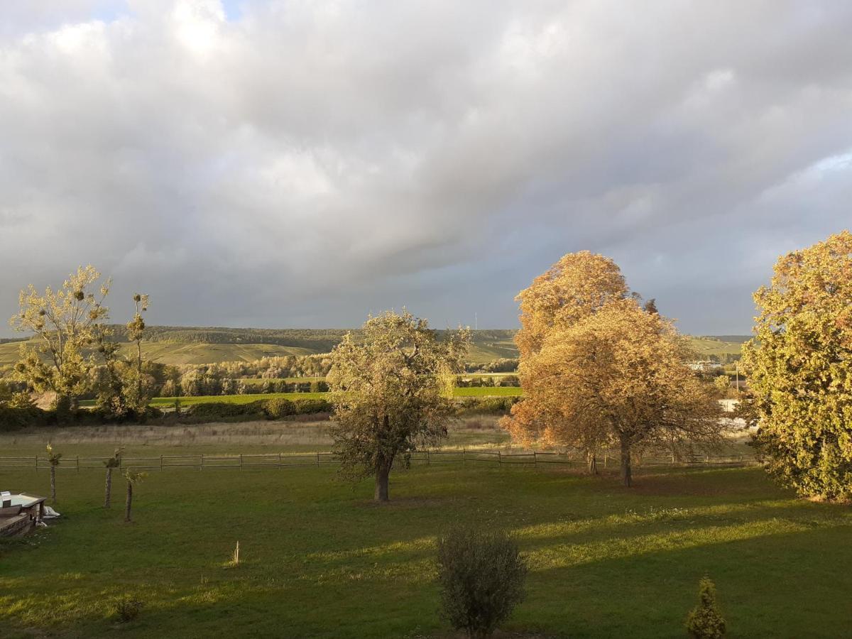 Domaine-De-La-Borde A Epernay Bed & Breakfast Mardeuil Eksteriør bilde