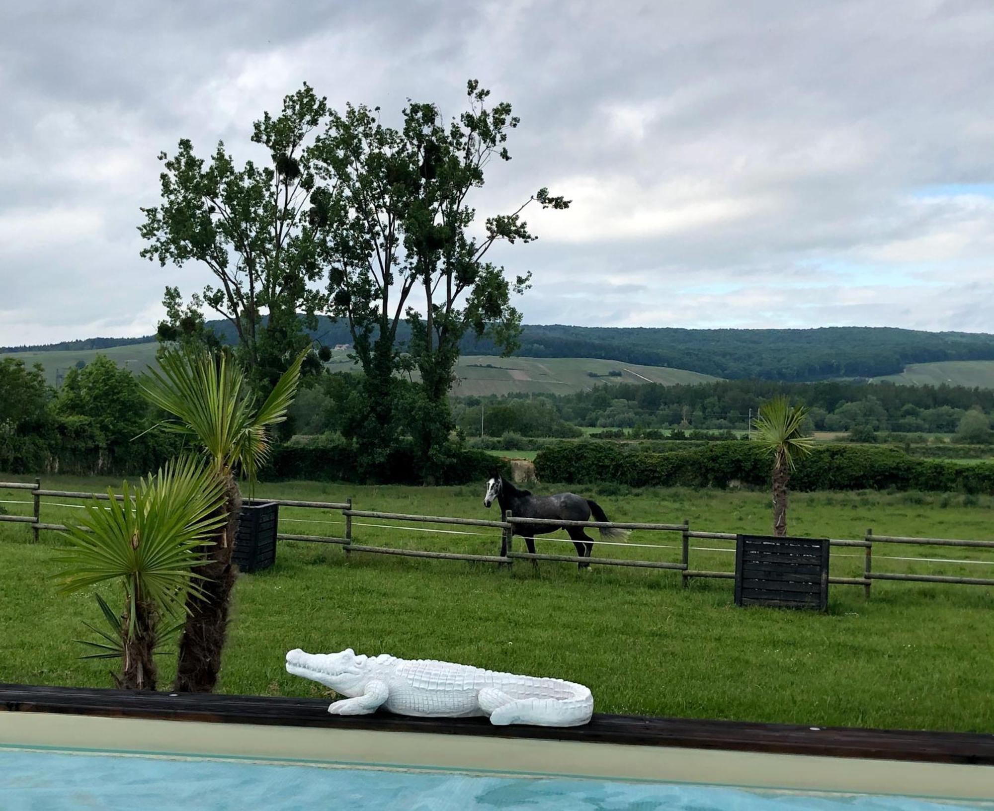 Domaine-De-La-Borde A Epernay Bed & Breakfast Mardeuil Eksteriør bilde